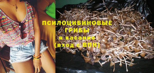 мет Баксан